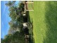 45 Maitland Street, Condobolin NSW 2877