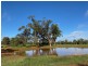 45 Maitland Street, Condobolin NSW 2877