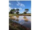 45 Maitland Street, Condobolin NSW 2877