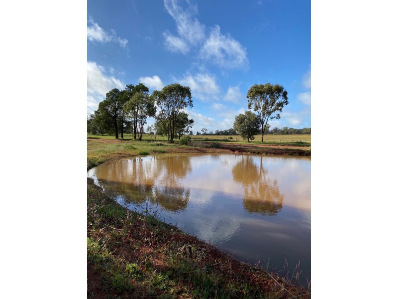 45 Maitland Street, Condobolin NSW 2877