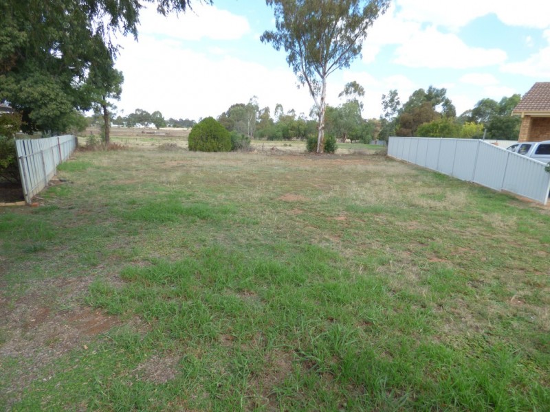 21 Chelsea Crescent, Forbes NSW 2871