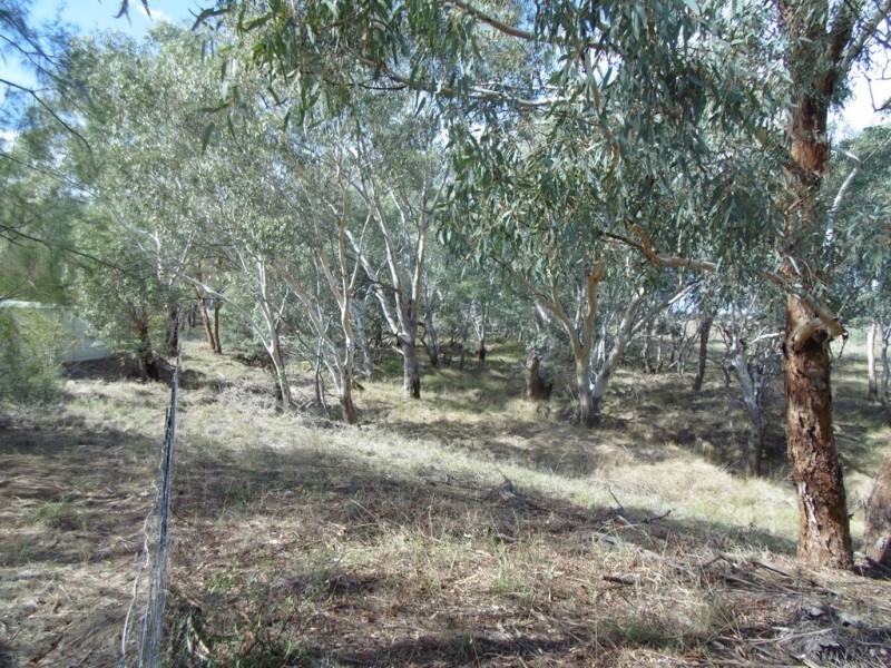 64 Terrill Road, Parkes NSW 2870