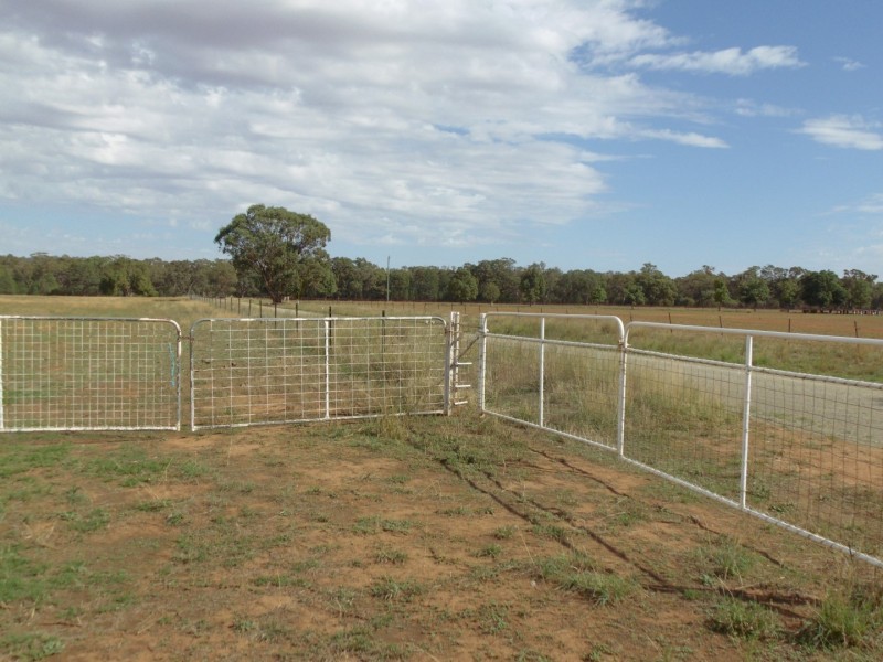 64 Terrill Road, Parkes NSW 2870