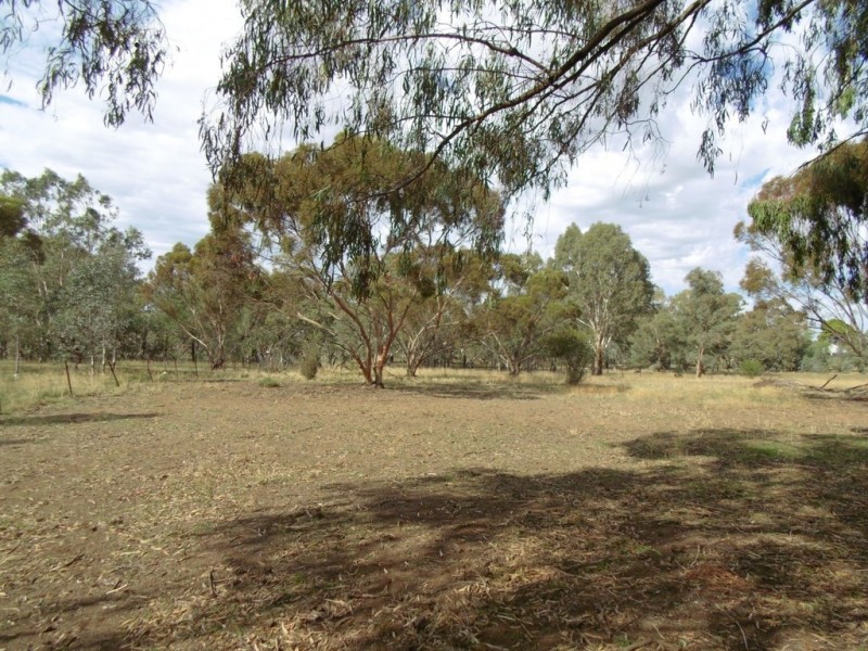 64 Terrill Road, Parkes NSW 2870