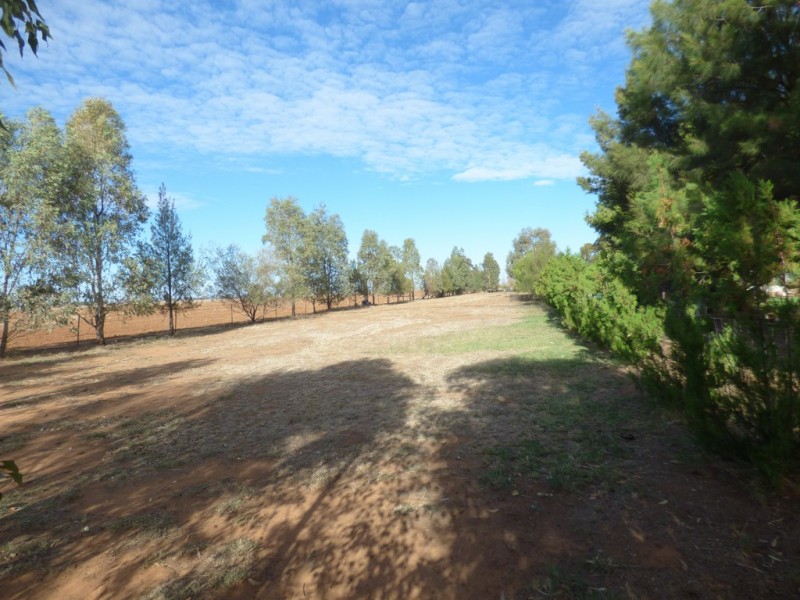 862 New Grenfell Road “Roseville”, Forbes NSW 2871