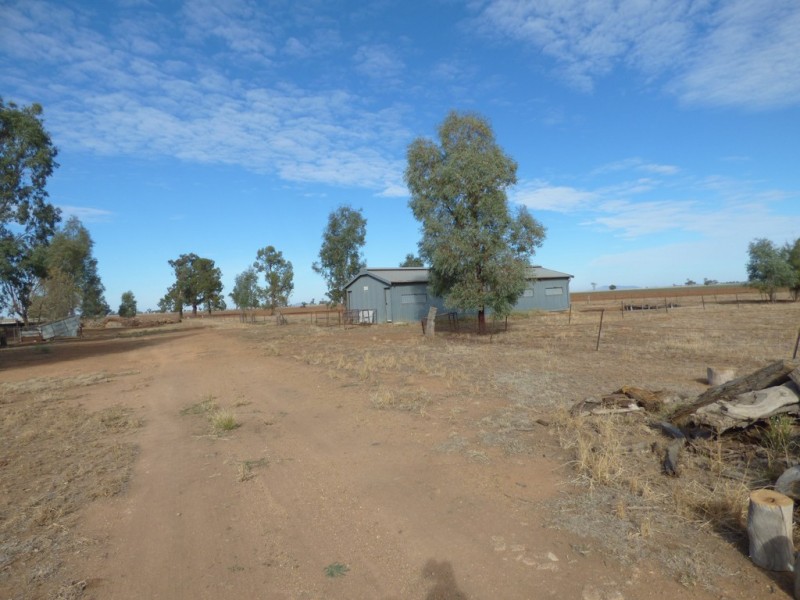 862 New Grenfell Road “Roseville”, Forbes NSW 2871