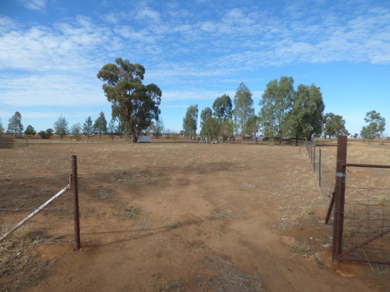 862 New Grenfell Road “Roseville”, Forbes NSW 2871