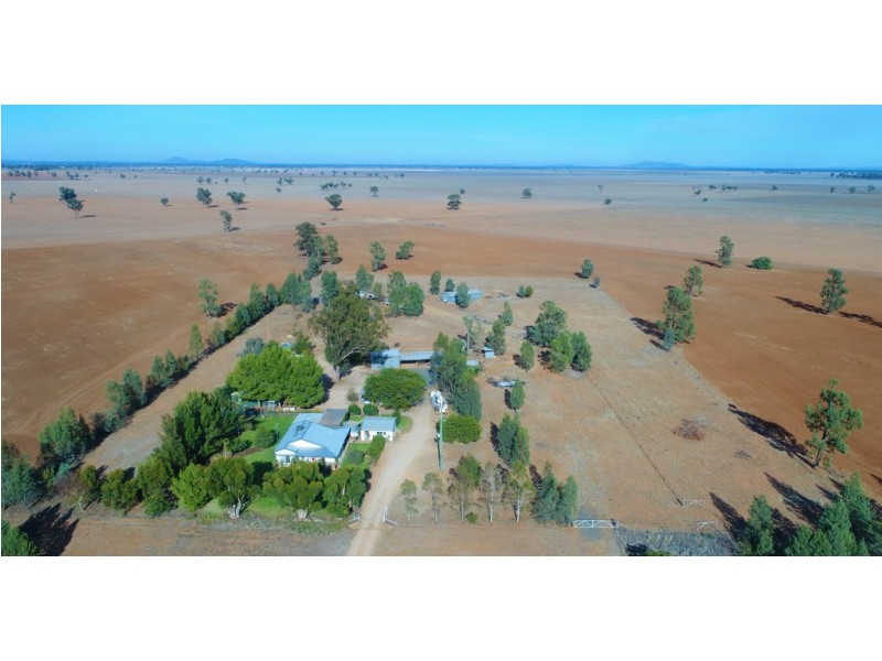 862 New Grenfell Road “Roseville”, Forbes NSW 2871