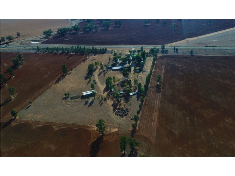 862 New Grenfell Road “Roseville”, Forbes NSW 2871