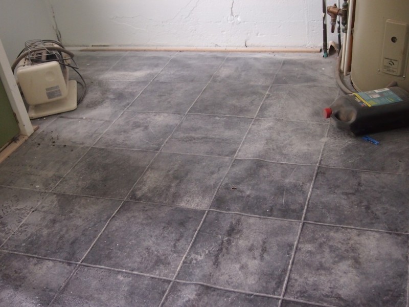 53 Forbes Street, Trundle NSW 2875