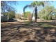 38 Pye Street, Eugowra NSW 2806