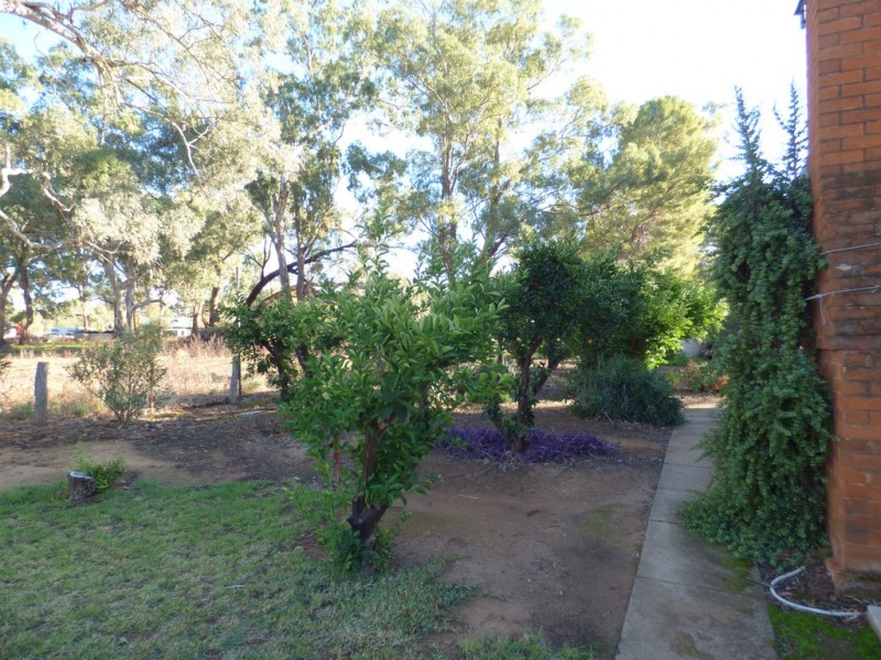 “Yileen” 3070 Bedgerebong Road, Bedgerebong NSW 2871