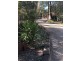 7042 Eugowra Road, Parkes NSW 2870