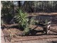 7042 Eugowra Road, Parkes NSW 2870