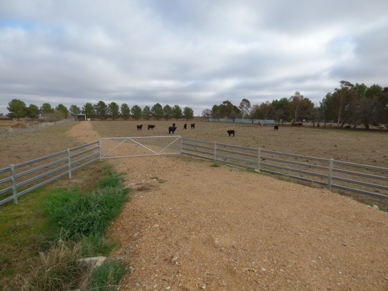 331A Calarie Road, Forbes NSW 2871