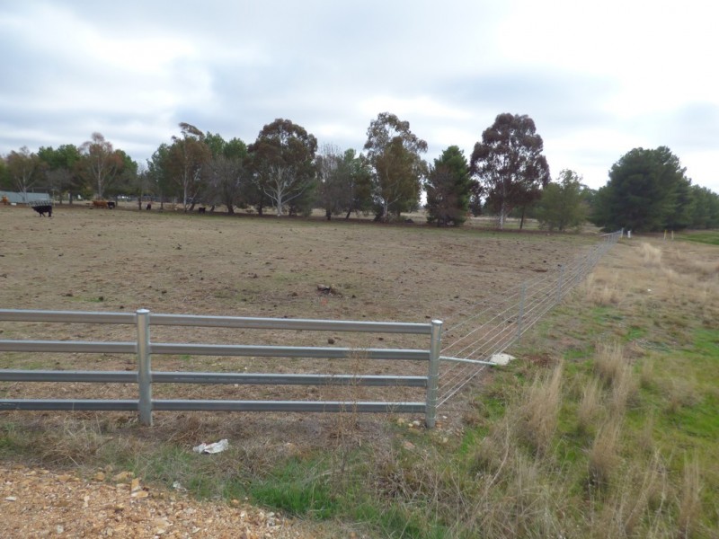 331A Calarie Road, Forbes NSW 2871