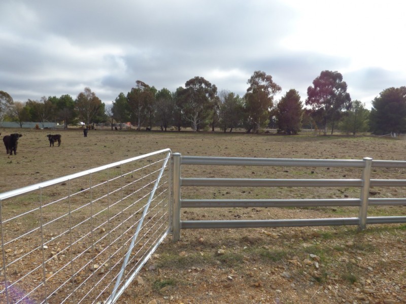 331A Calarie Road, Forbes NSW 2871