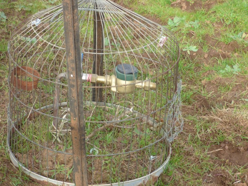 331A Calarie Road, Forbes NSW 2871