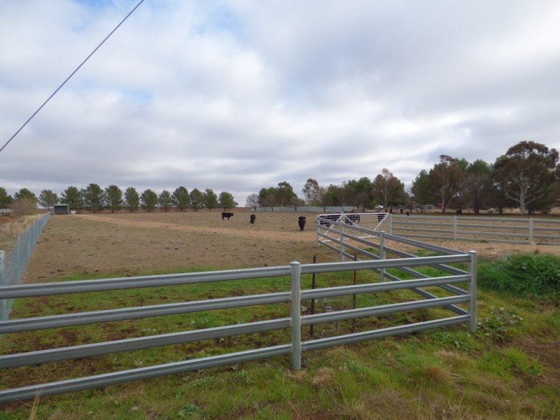 331A Calarie Road, Forbes NSW 2871