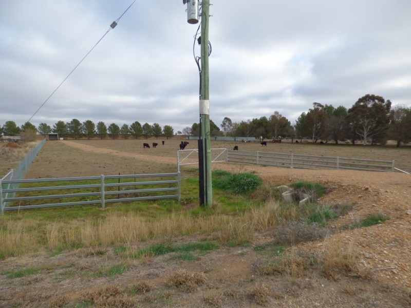 331A Calarie Road, Forbes NSW 2871