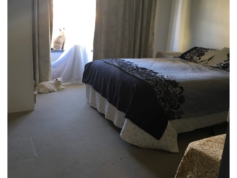 22 Officers Parade, Condobolin NSW 2877