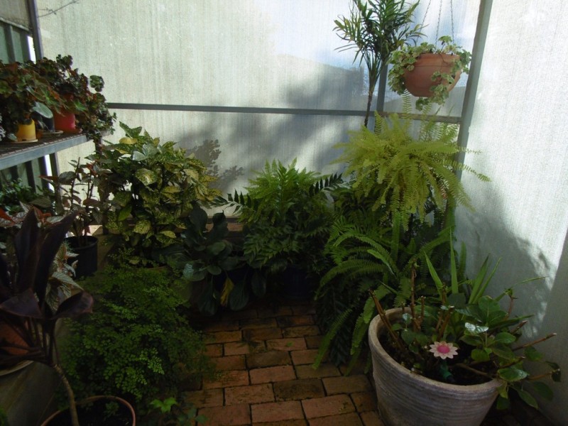 18 Jubilee Street, Parkes NSW 2870