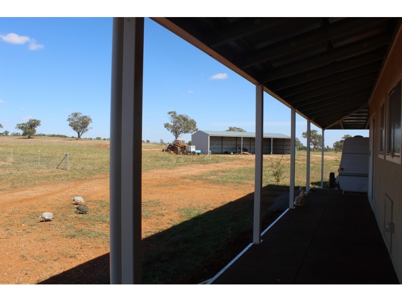 Lot 287 Newell Highway, Trewilga NSW 2869