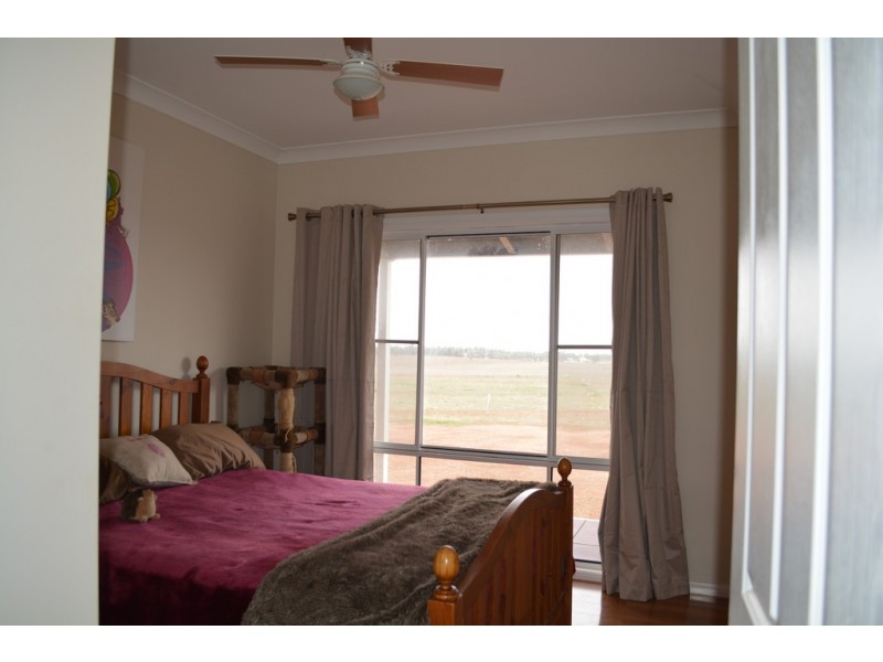 Lot 287 Newell Highway, Trewilga NSW 2869