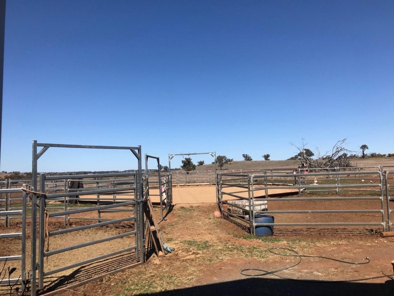 Lot 287 Newell Highway, Trewilga NSW 2869