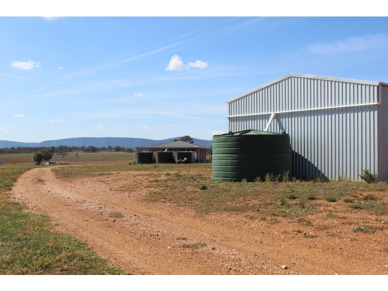 Lot 287 Newell Highway, Trewilga NSW 2869