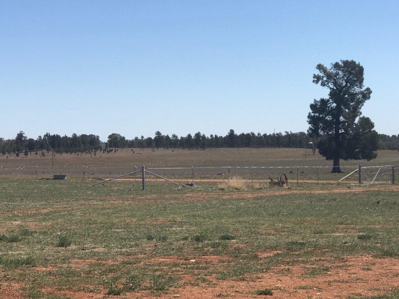 Lot 287 Newell Highway, Trewilga NSW 2869