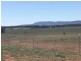 Lot 287 Newell Highway, Trewilga NSW 2869