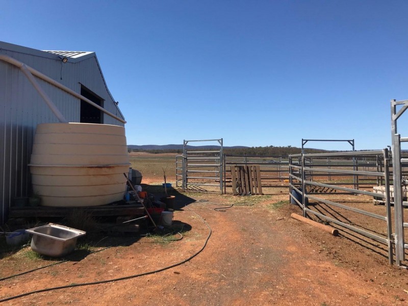 Lot 287 Newell Highway, Trewilga NSW 2869