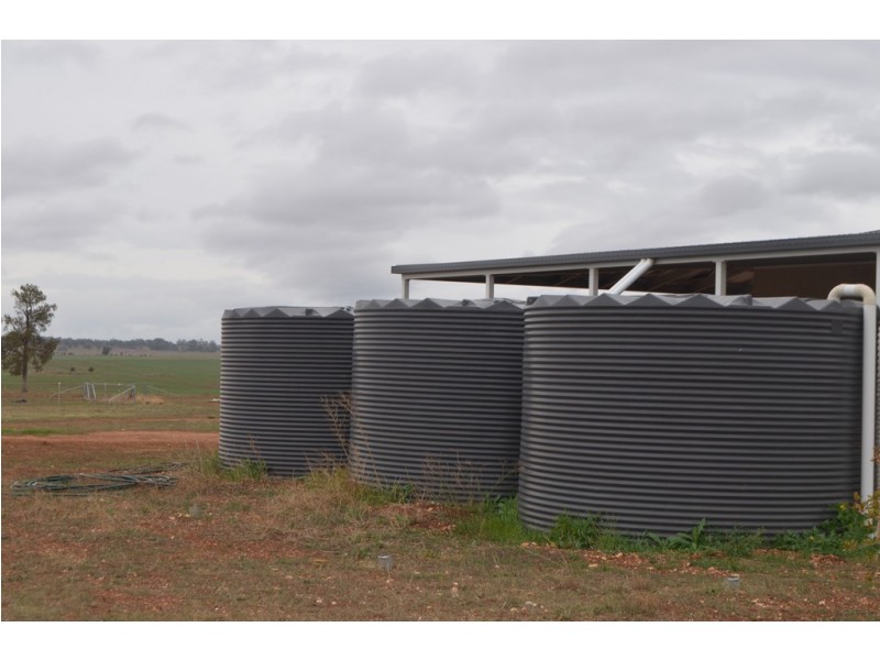 Lot 287 Newell Highway, Trewilga NSW 2869
