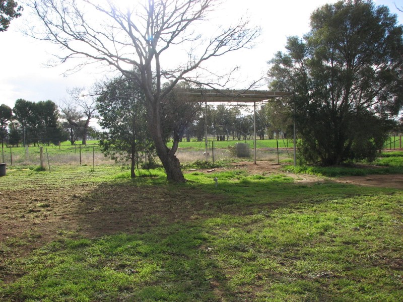 0 Barnes Lane, Eugowra NSW 2806