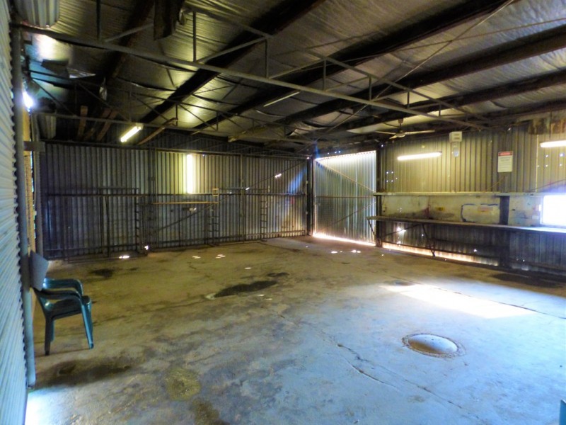 14 Camp Street, Forbes NSW 2871