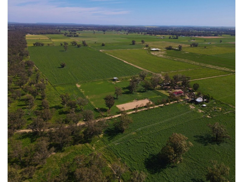 8308 Lachlan Valley Way, Forbes NSW 2871