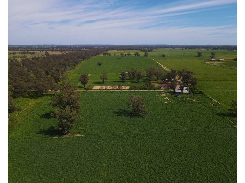 8308 Lachlan Valley Way, Forbes NSW 2871