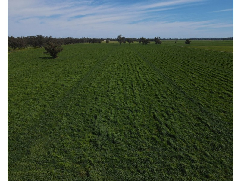 8308 Lachlan Valley Way, Forbes NSW 2871