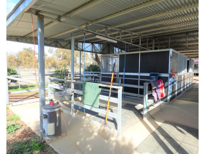 8308 Lachlan Valley Way, Forbes NSW 2871