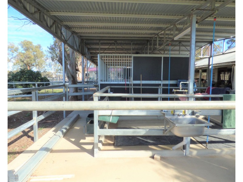 8308 Lachlan Valley Way, Forbes NSW 2871