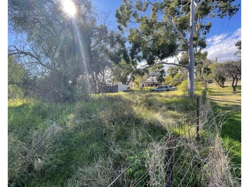 20 Caswell Street, Peak Hill NSW 2869