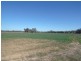 335 Watts Lane, Tichborne NSW 2870