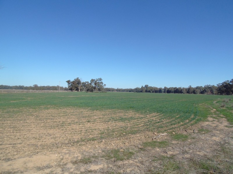335 Watts Lane, Tichborne NSW 2870