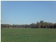 335 Watts Lane, Tichborne NSW 2870