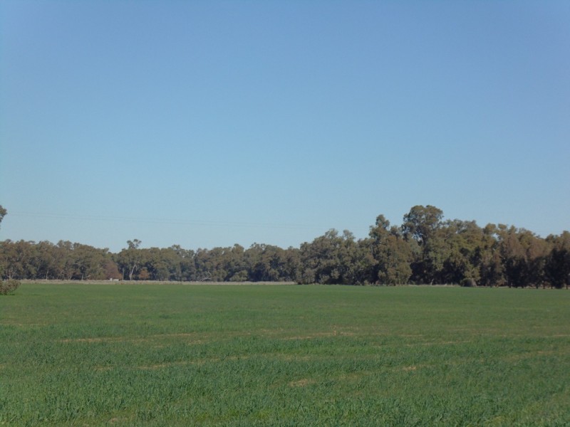 335 Watts Lane, Tichborne NSW 2870