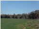 335 Watts Lane, Tichborne NSW 2870