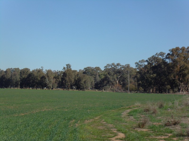 335 Watts Lane, Tichborne NSW 2870