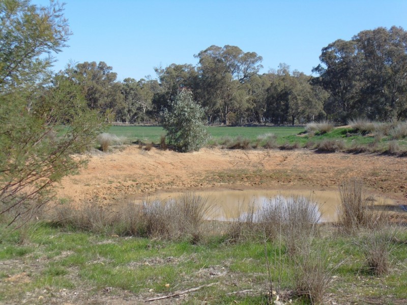 335 Watts Lane, Tichborne NSW 2870