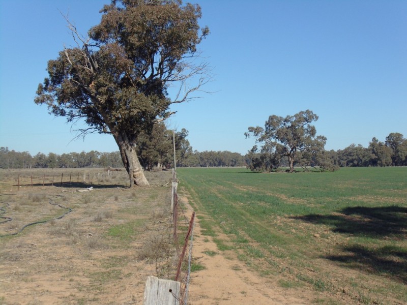 335 Watts Lane, Tichborne NSW 2870